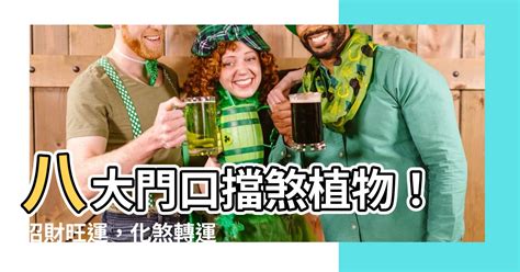 九重葛擋煞|門口種九重葛好嗎？風水專家：小心「騰蛇勾絞煞」！